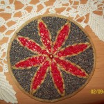 GhircoiasDiana (8)