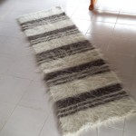 Lungociu (11)
