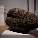 Madaras (9)