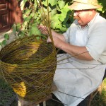 Radu (3)